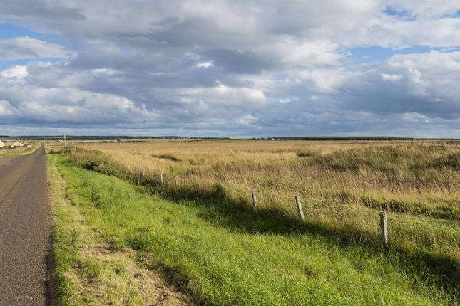 Land Harrow Road, Scarfskerry... Land for sale