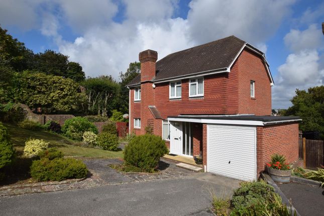 Ascot Close, Eastbourne BN20 4 bed detached house for sale