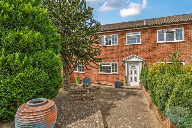 Newton Way, Farnham GU10 4 bed end of terrace house for sale