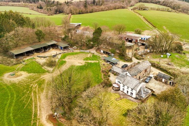 8 bed equestrian