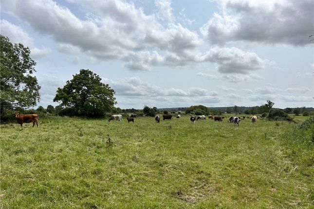 Street Drove, Somerset BA16 Land for sale