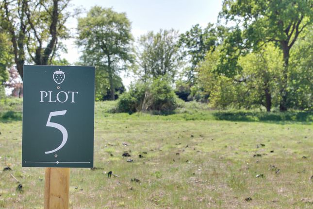 Narford Road, Narborough, PE32 Land for sale