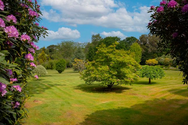 Secret listing, Crowborough 6 bed detached house for sale