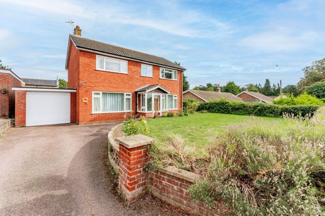 Hall Lane, Norwich NR15 3 bed detached house for sale