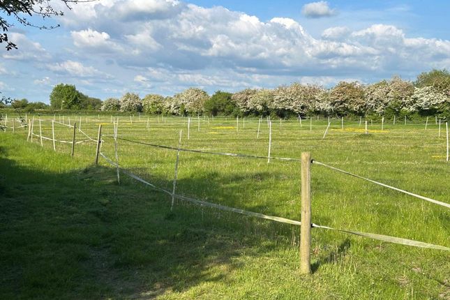 Moor Road, North Somerset BS29 Land for sale