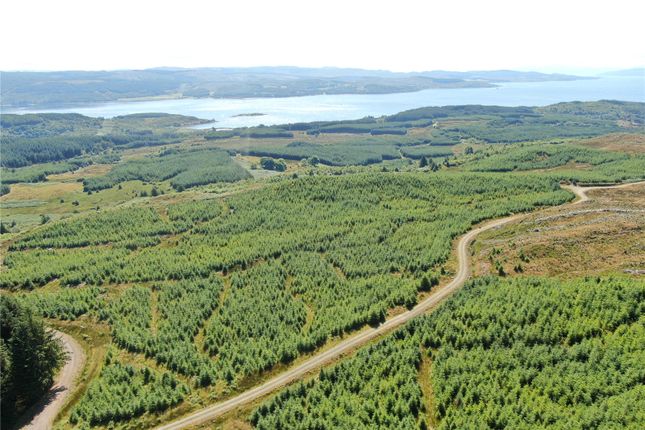 Achnaba Forest, Lochgilphead, Argyll... Land for sale