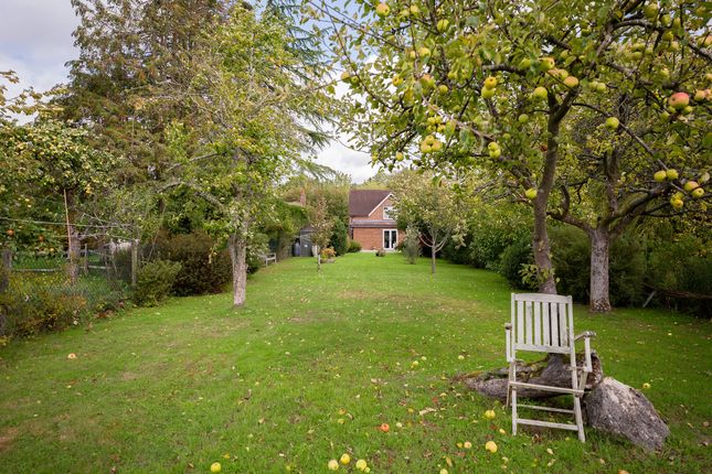 Ockley Road, Forest Green, RH5 3 bed semi