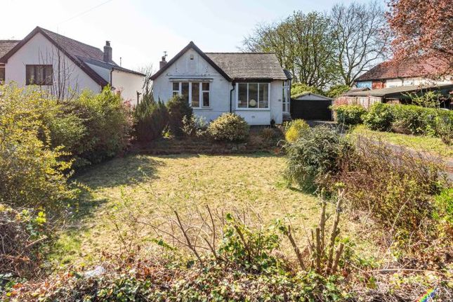 2 bed detached bungalow