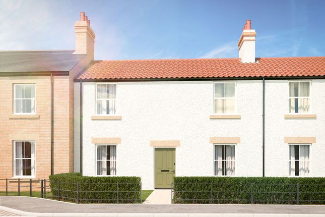 The Rickleton at Hedworths Green at... 3 bed terraced house for sale