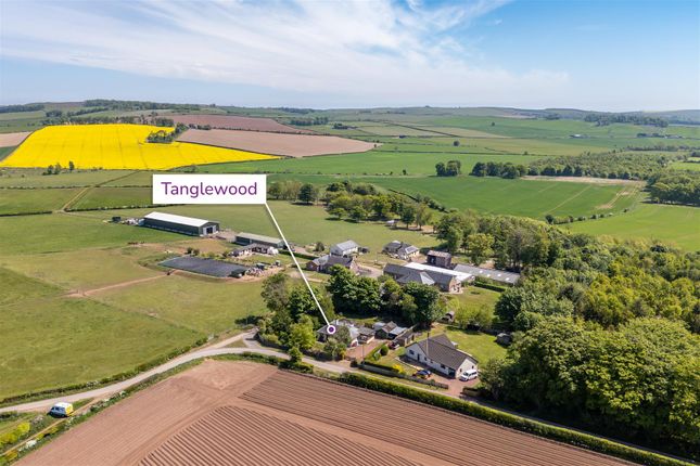 4 bedroom detached bungalow for sale