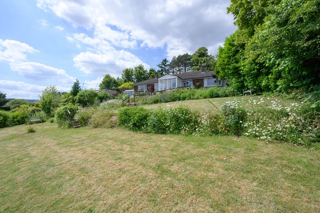 6 bed detached bungalow