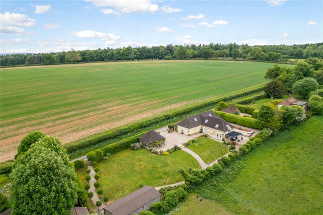 White Lane, Hannington, Tadley... 4 bed detached house for sale