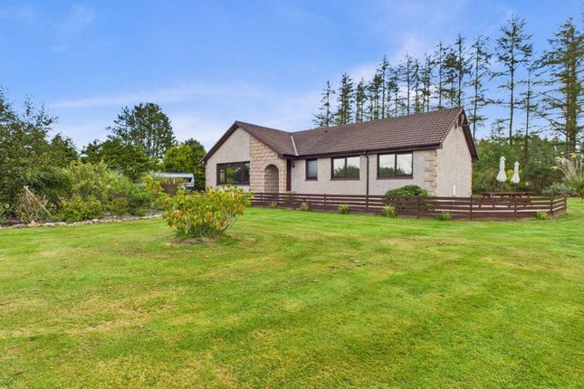 Turriff AB53 4 bed detached bungalow for sale