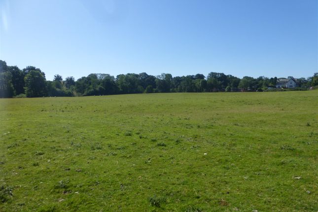 Land