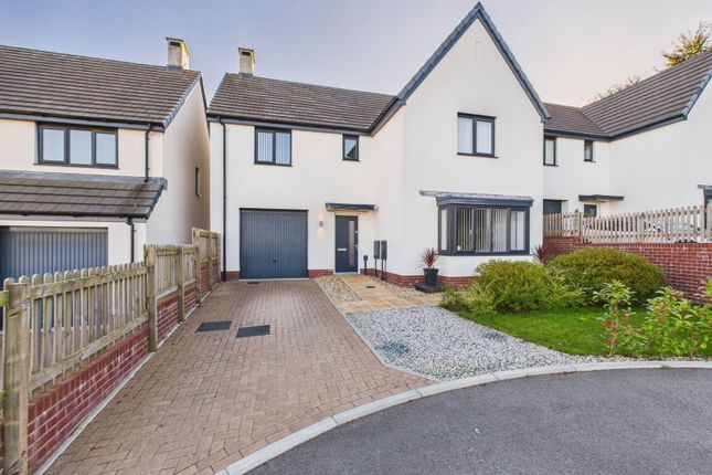 Castle Park Drive, Paignton 4 bed detached house for sale