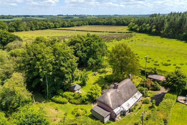 Petrockstowe, Okehampton, Devon 3 bed detached house for sale