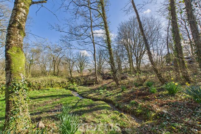 The Grove (Woodland), Cilgwyn Road... Land for sale