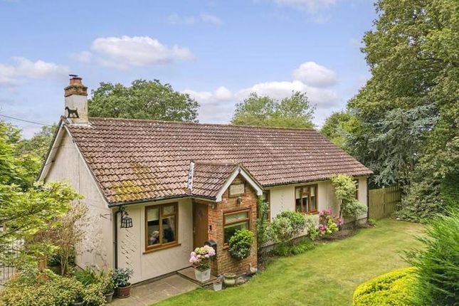 Brittons Lane, Stock Ingatestone CM4 3 bed detached bungalow for sale