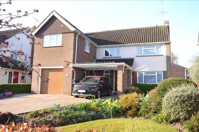 Tabors Avenue, Chelmsford 6 bed detached house for sale