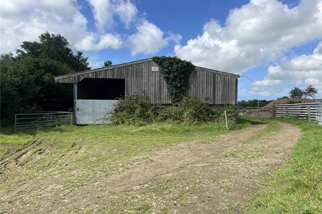Pancrasweek, Devon EX22 8 bed property with land for sale