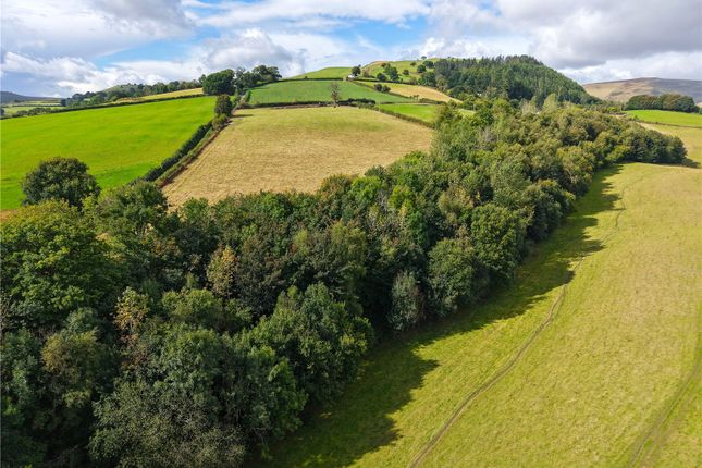 New Radnor, Presteigne, Powys, LD8 Plot for sale