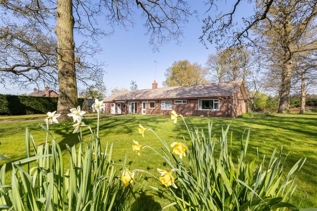 3 bed detached bungalow