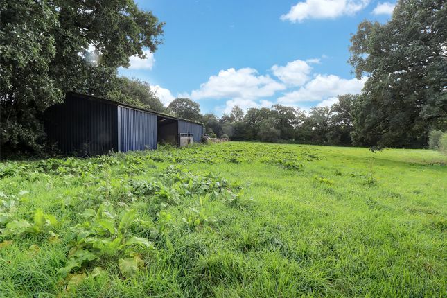 Wembworthy, Chulmleigh, Devon, EX18 5 bed detached house for sale