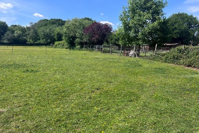 Standford Lane, Bordon Equestrian property for sale