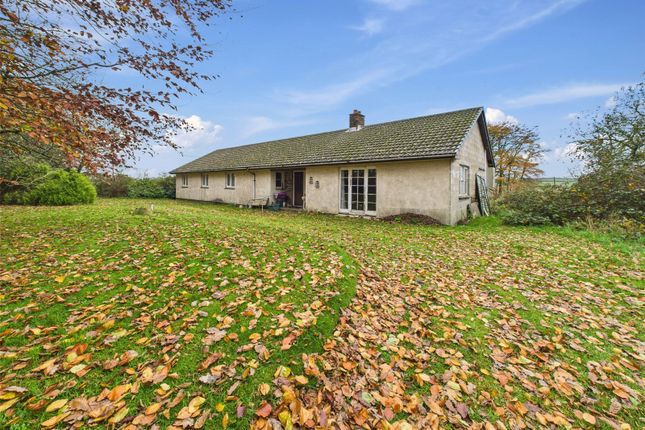 East Putford, Holsworthy, Devon 4 bed bungalow for sale