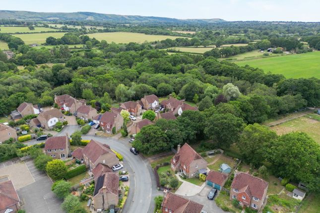 West Gate, Lewes BN7 4 bed detached house for sale