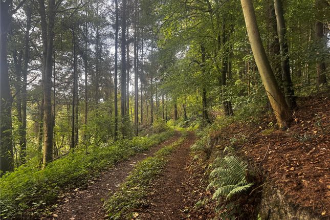 Penthryn Wood, Berriew, Welshpool... Land for sale