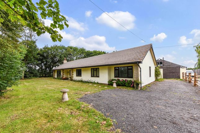 Almodington Lane, Almodington... 3 bed detached bungalow for sale