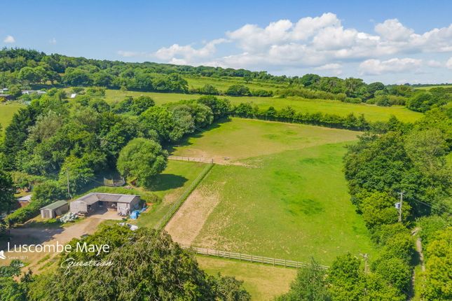 Equestrian facility for sale