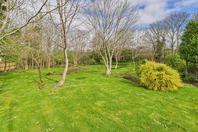 Plot adjacent to 9 Priory Lodge... Plot for sale