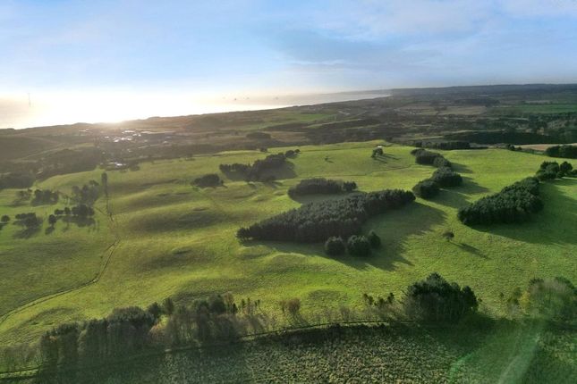 Land At Millden, Balmedie, Aberdeen... Land for sale