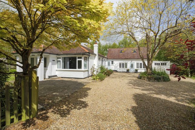 Springfield Lodge, Bekesbourne Lane... 4 bed detached house for sale