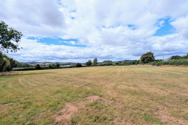 Plot for sale