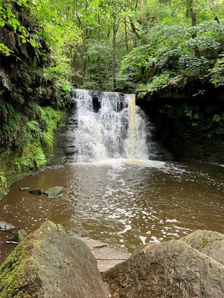 Goit Stock Wood, Harden, Bingley... Land for sale