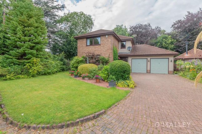 Arns Grove, Alloa 4 bed detached house for sale