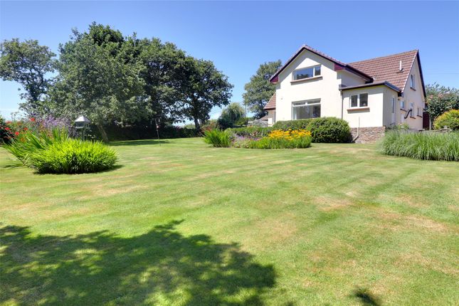 Peters Marland, Great Torrington... 4 bed detached house for sale