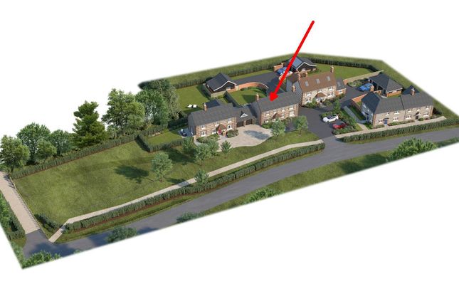 Plot for sale