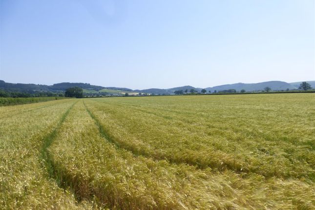 Land