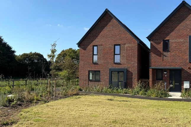 Ashling Close, West Ashling... 3 bed detached house for sale