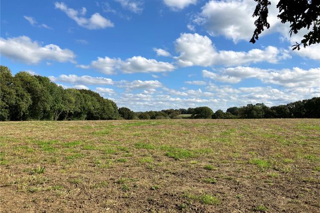 Littleworth, Partridge Green... 5 bed detached house for sale