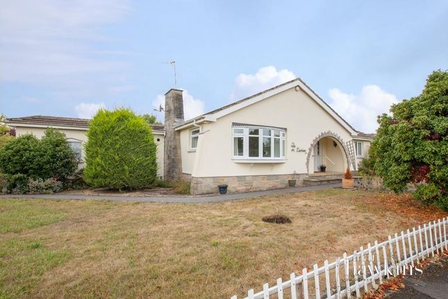 Chestnut Springs, Lydiard Millicent... 3 bed detached bungalow for sale