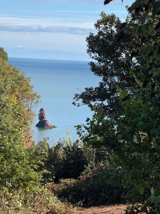 Smugglers Lane, Dawlish Land for sale
