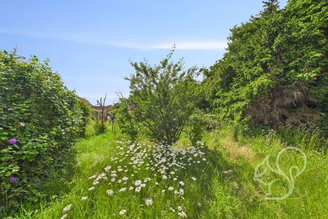 Gosbecks Road, Colchester 3 bed property with land for sale