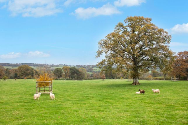 Michaelchurch Escley, Hereford... Farm land for sale