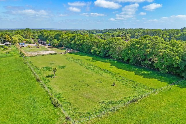 Hawkswood Road, Downham, Billericay... Equestrian property for sale