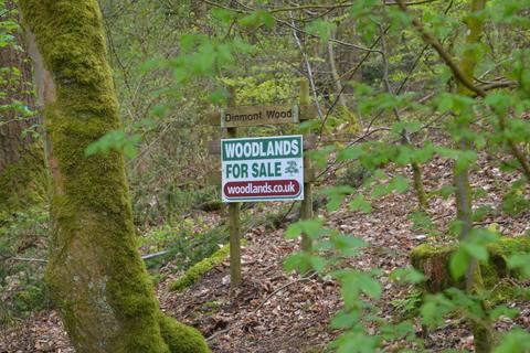 Woodland for sale